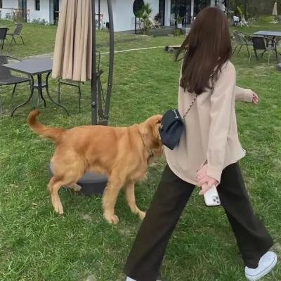 耶路撒冷的房子